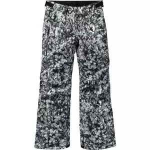 Burton Barnstorm Pant