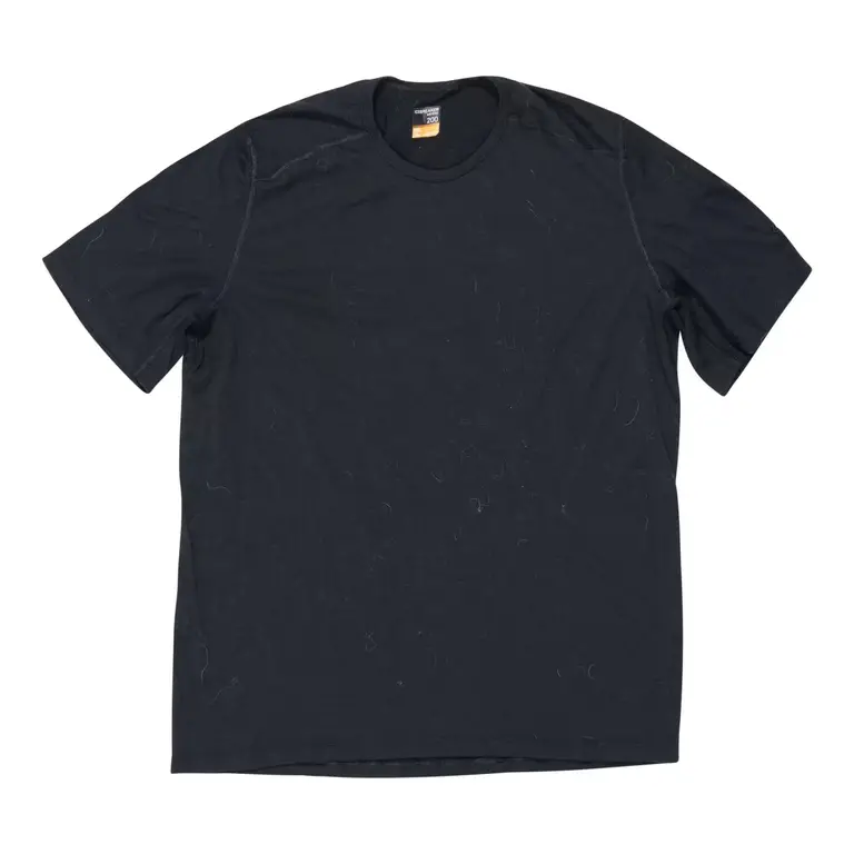 Icebreaker Merino 200 T-Shirt - Men's
