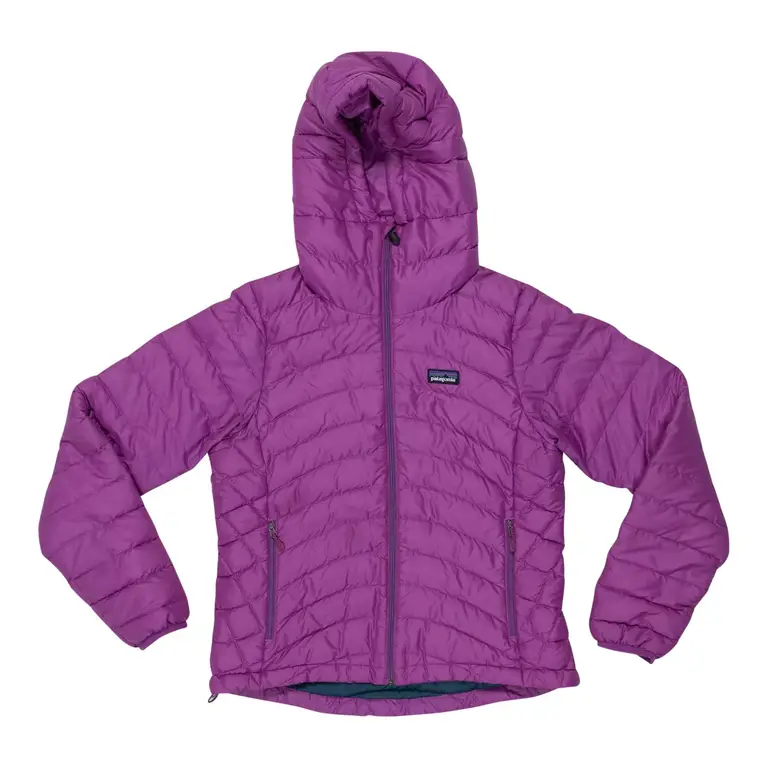 Patagonia Down Sweater Hoody