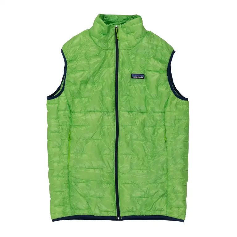 Patagonia Micro Puff Vest