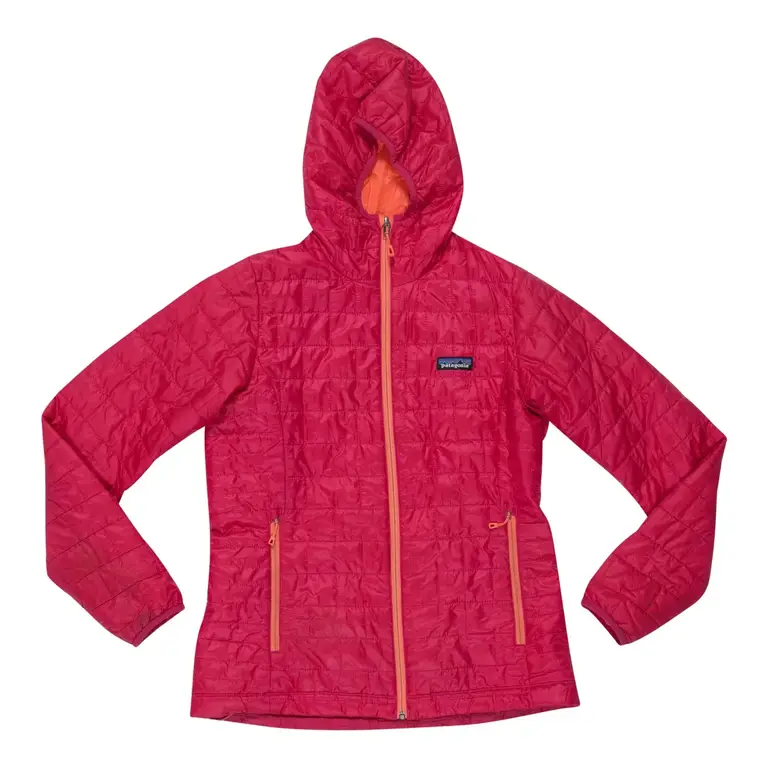 Patagonia Nano Puff Hoody