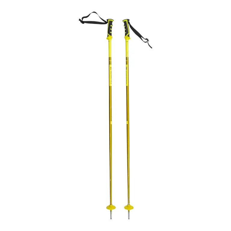 Salomon Arctic Ski Poles