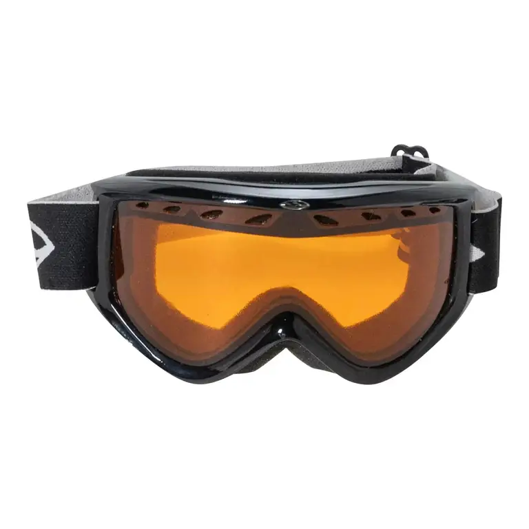 Smith Ski Goggles